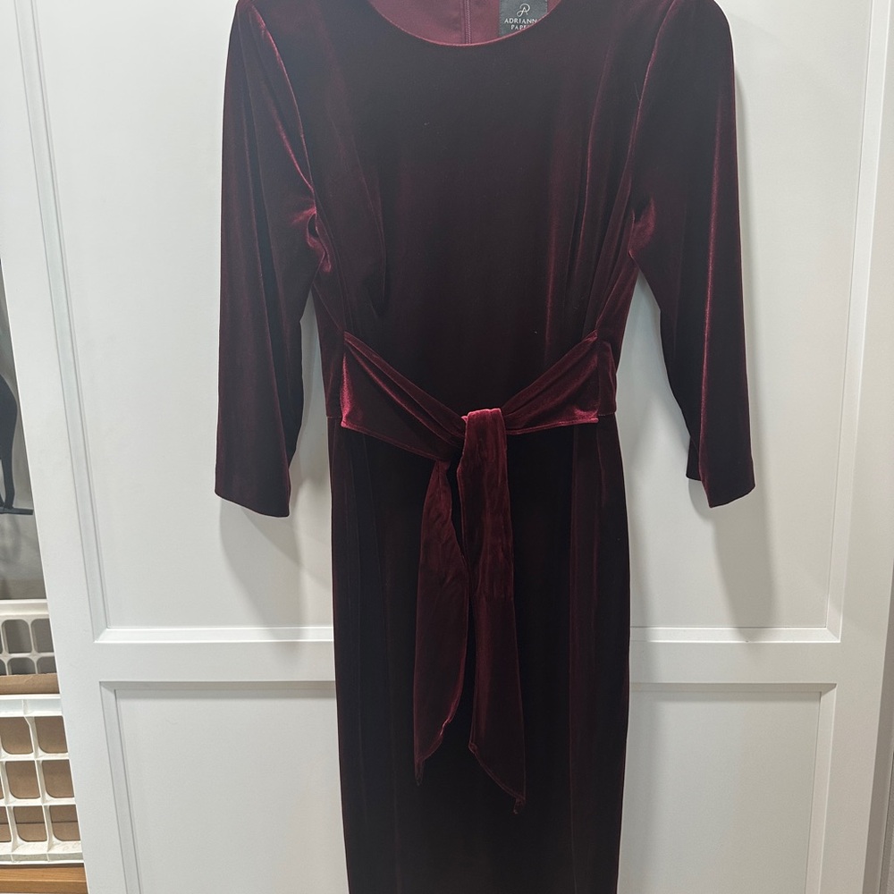 Adrianna Papell Velvet Long Sleeve Dress in Deep Burgundy